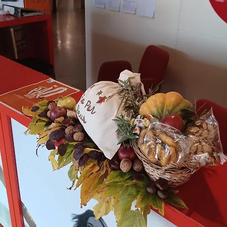 Hi - De Juventude Hostel *